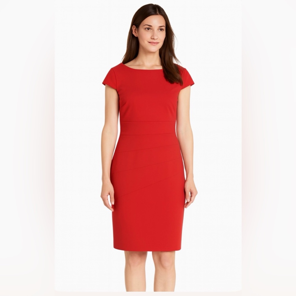Alyx Limited Rust Orange Sheath Zip Up Career Office Dress Women's Plus Size 16